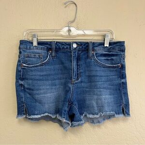 Joes jeans distressed shorts Sz 29